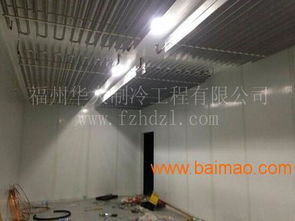 廈門食用菌冷庫 香菇種植冷庫 蘑菇冷庫 金針菇種植,廈門食用菌冷庫 香菇種植冷庫 蘑菇冷庫 金針菇種植生產廠家,廈門食用菌冷庫 香菇種植冷庫 蘑菇冷庫 金針菇種植價格